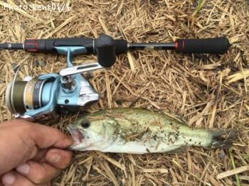 ¥Ö¥é¥Ã¥¯¥Ð¥¹