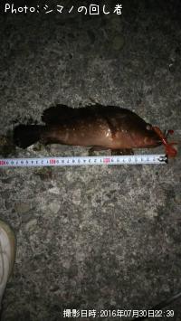 �����ϥ�