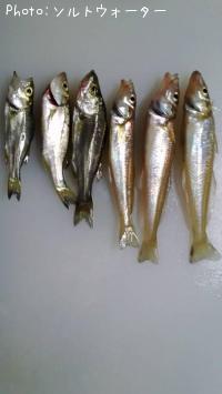 �����������Х�