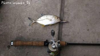 ��å�����