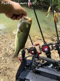 �֥�å��Х�