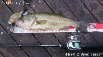 �֥�å��Х�