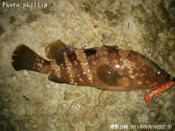 �����ϥ�