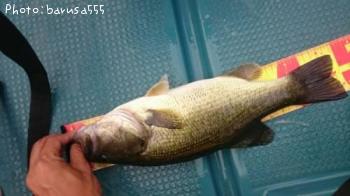 ¥Ö¥é¥Ã¥¯¥Ð¥¹