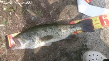 �֥�å��Х�