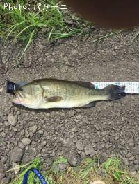 ¥Ö¥é¥Ã¥¯¥Ð¥¹