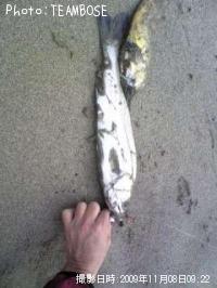 �����Х�