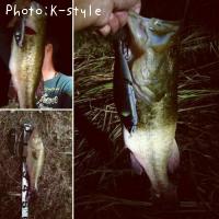 �֥�å��Х�