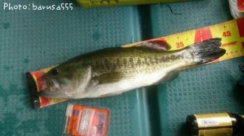 �֥�å��Х�