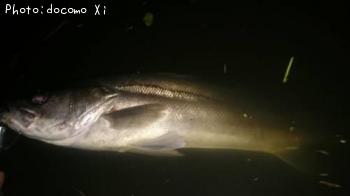 �����Х�