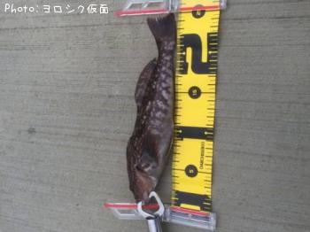 �����ʥ�