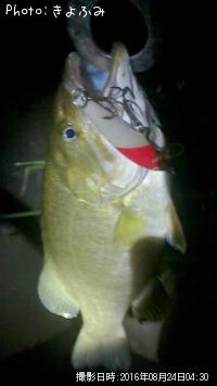 �֥�å��Х�