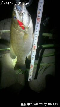 �֥�å��Х�