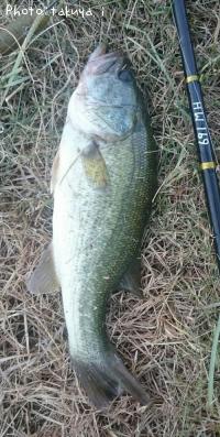 �֥�å��Х�