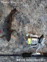 �����ʥ�