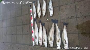 �����Х�