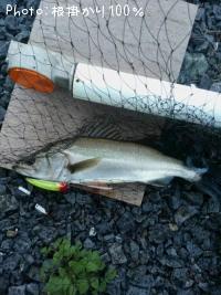 �����Х�