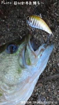 �֥�å��Х�