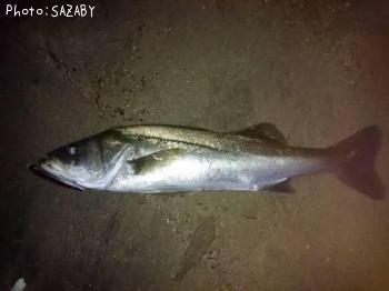 �����Х�