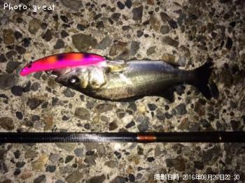 �����Х�