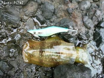 �����ꥤ��