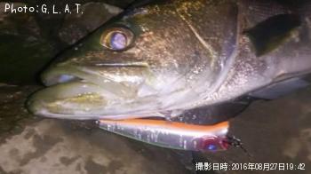 �����Х�