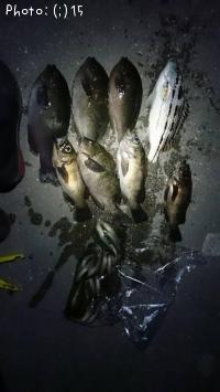 ���ޥ��������᥸�ʡ���Х�