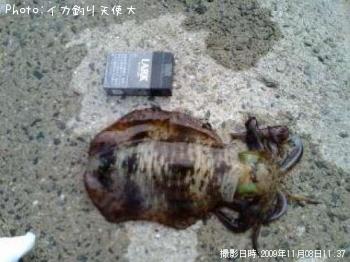 �����ꥤ��