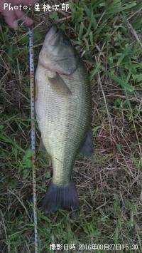 �֥�å��Х�