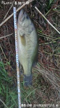 ¥Ö¥é¥Ã¥¯¥Ð¥¹