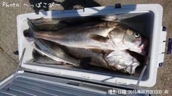 �����Х�