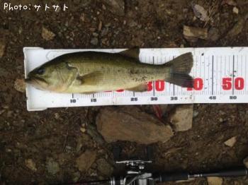 �֥�å��Х�