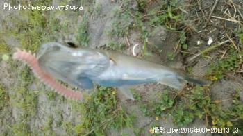 �����Х�