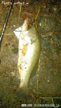 �֥�å��Х�