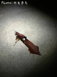 ¥±¥ó¥µ¥¥¤¥«