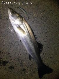 �����Х�