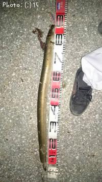 ���ʤ����ޤ���