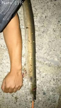 ���ʤ����ޤ���