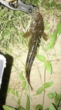 ���ʤ����ޤ���