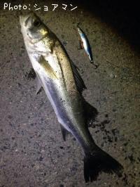 �����Х�