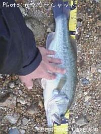 ¥Ö¥é¥Ã¥¯¥Ð¥¹