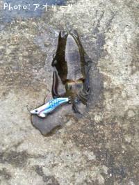 �����ꥤ��