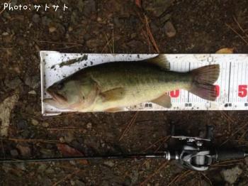 �֥�å��Х�