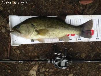 �֥�å��Х�