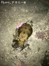 �����ꥤ��