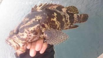 ¥¿¥±¥Î¥³¥á¥Ð¥ë