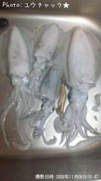 ¥¢¥ª¥ê¥Á¥ã¥ó