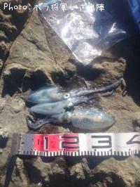 ¥¢¥ª¥ê¥¤¥«