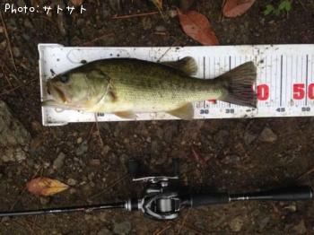 �֥�å��Х�