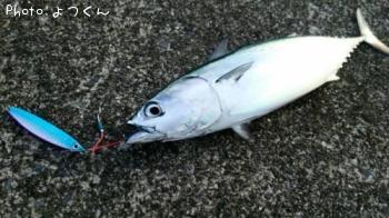 �ҥ饽����